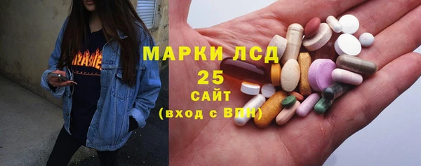стаф Новозыбков