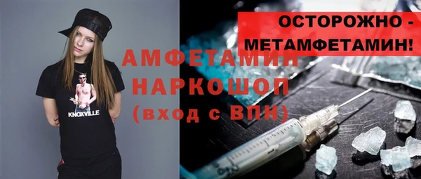 индика Новокубанск