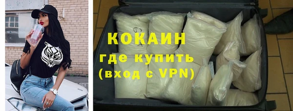 индика Новокубанск