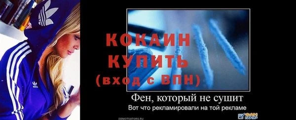 индика Новокубанск