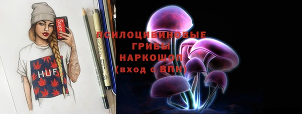 индика Новокубанск