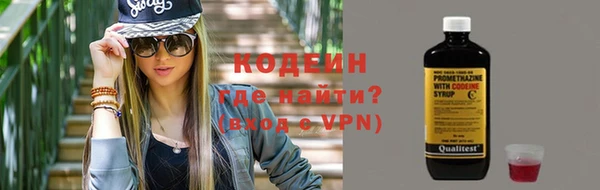 индика Новокубанск