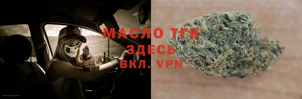 индика Новокубанск