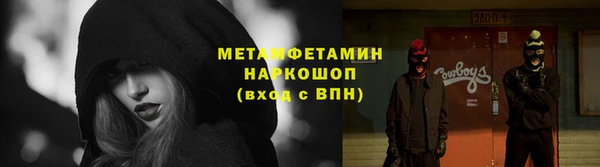 стаф Новозыбков