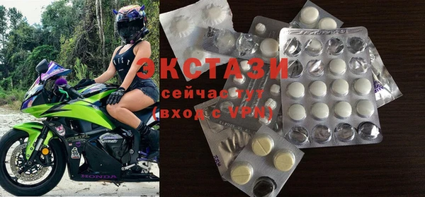 стаф Новозыбков