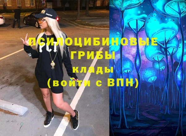 стаф Новозыбков