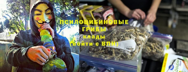 стаф Новозыбков