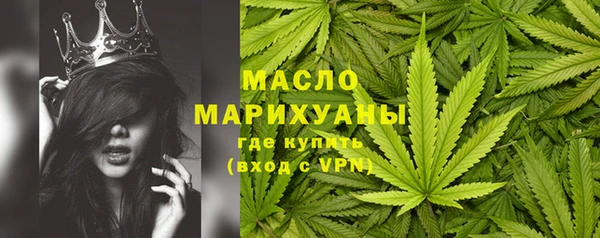 стаф Новозыбков