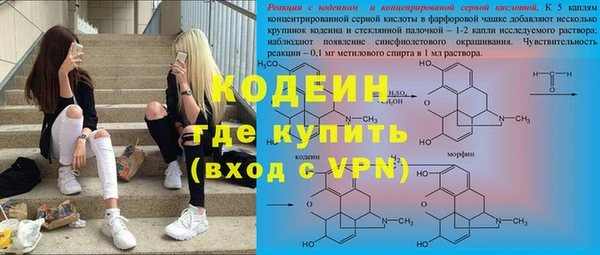 индика Новокубанск