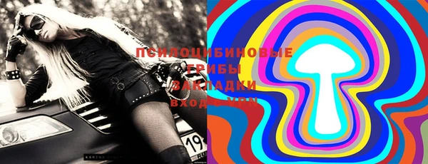 мдпв Нея
