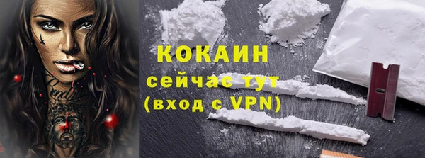 стаф Новозыбков