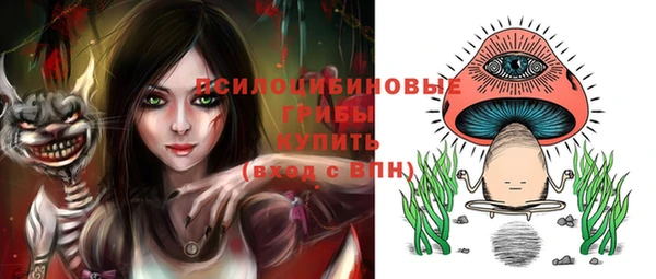 индика Новокубанск
