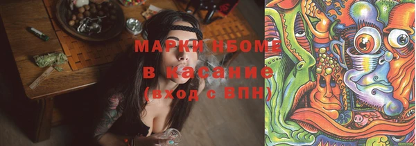 индика Новокубанск