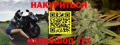 прущие грибы Гатчина
