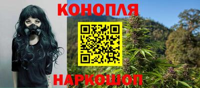 прущие грибы Гатчина