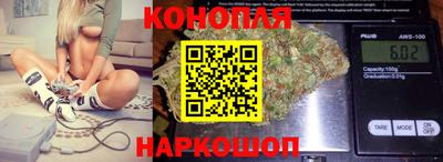 прущие грибы Гатчина