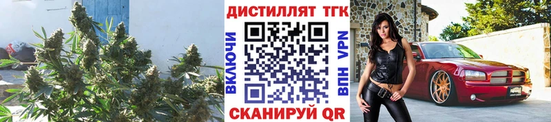 даркнет сайт  Кумертау  Дистиллят ТГК концентрат 