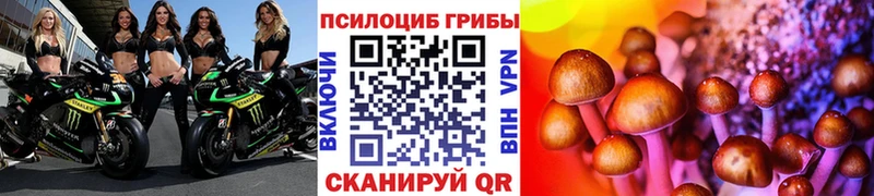 ОМГ ОМГ зеркало  Кумертау  Галлюциногенные грибы Magic Shrooms 